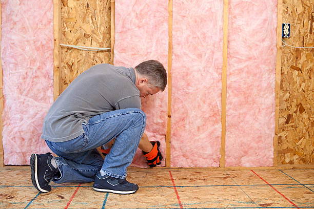 Types of Insulation We Offer in Ormond By The Sea, FL